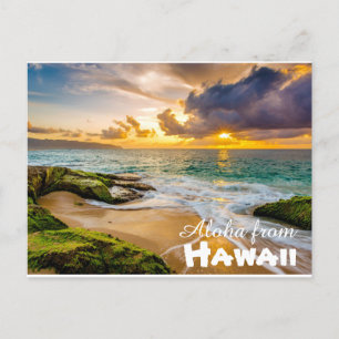 Cartão Postal Aloha do cartão-postal do Havaí
