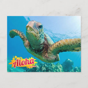 Cartão Postal Aloha do Cartaz da Tartaruga Verde Hawaii Honu