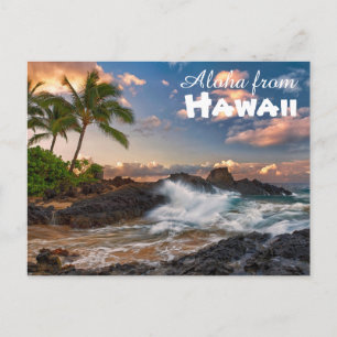 Cartão Postal Aloha do Havaí