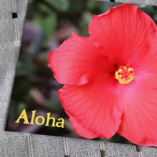 Cartão Postal Aloha do Havaí Férias no Havaí               