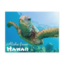 Aloha do Havaí Honu Green Sea Turtle