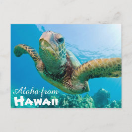 Cartão Postal Aloha do Havaí Honu Green Sea Turtle