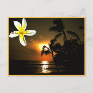 Cartão Postal Aloha do Havaí Plumeria Sunset