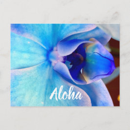 Cartão Postal Aloha em azul