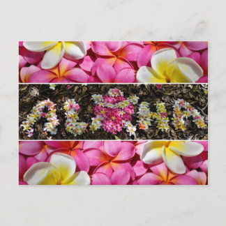 Cartão Postal Aloha Honu Turtle Hawaii Plumeria Flower Paradise