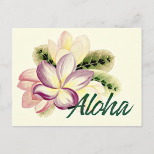 Cartão Postal Aloha Plumeria
