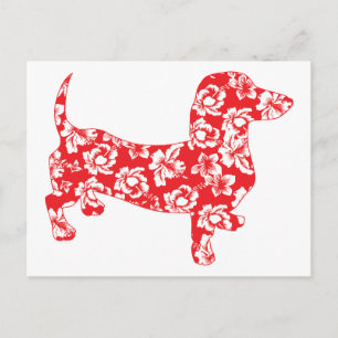 Cartão Postal Aloha Red Doxies