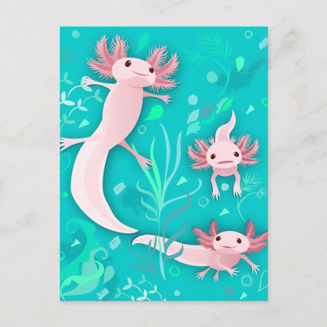 Cartão postal Alotta Axolotls (Frente)