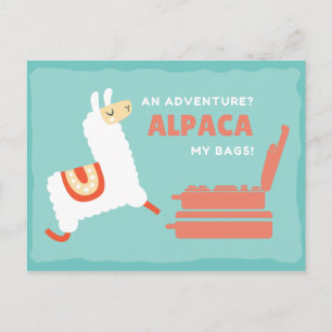 Cartão Postal Alpaca Branco Divertido Viagem