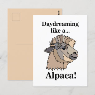 Cartão Postal Alpaca Llama Funny Animal