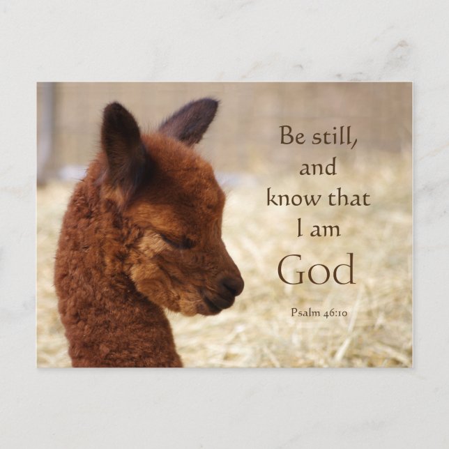 Cartão postal Alpaca Psalm 46:10 (Frente)