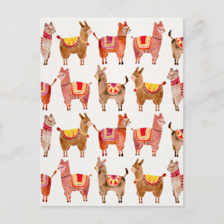 Cartão Postal Alpacas