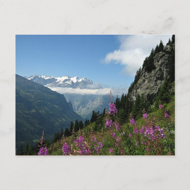 Cartão Postal Alpes - Suiça (Frente)