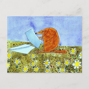 Cartão Postal Alphabet Fiesta Armadillo