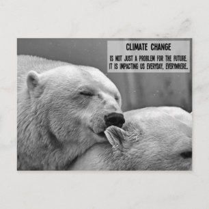 Cartão Postal Alterações climáticas a preto e branco com urso