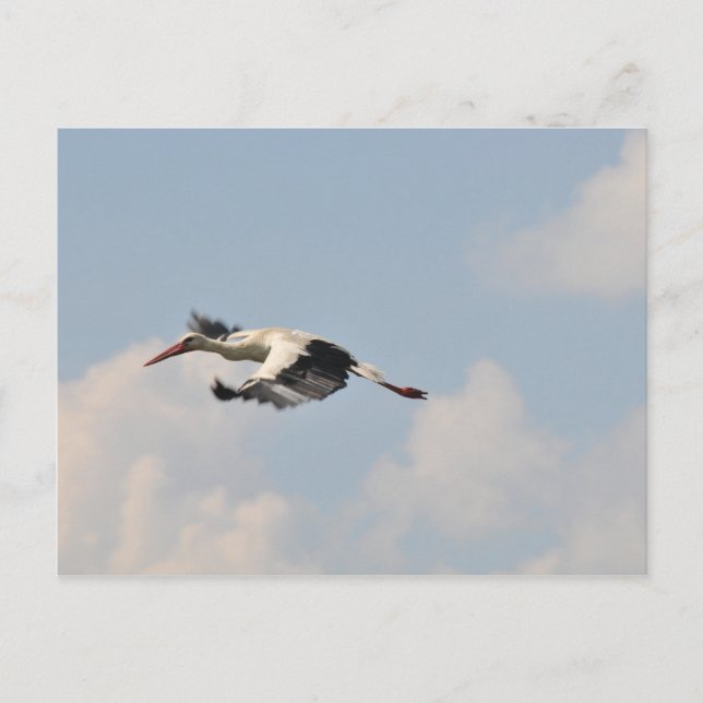 Cartão Postal Alto no céu (Frente)