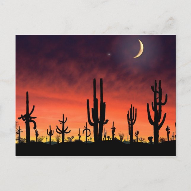 Cartão Postal Altura de Pé_ (Frente)