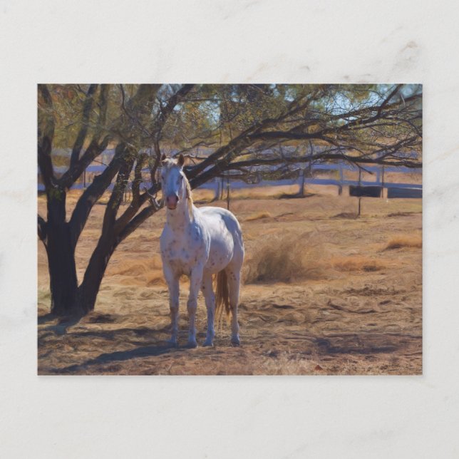 Cartão Postal Altura em Pé (Frente)