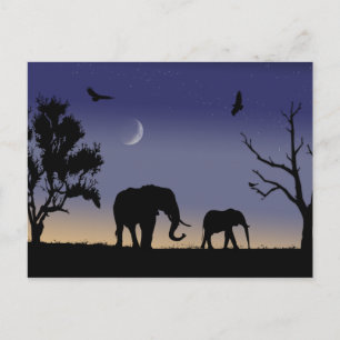Cartão Postal Alvorada africana - elefantes