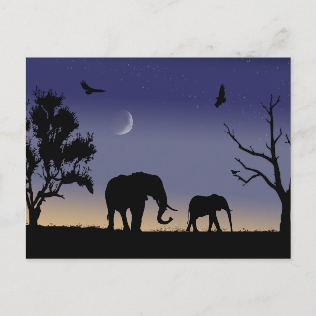 Cartão Postal Alvorada africana - elefantes (Frente)
