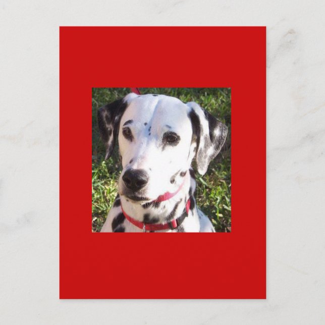 Cartão Postal amaldiçoação (Frente)