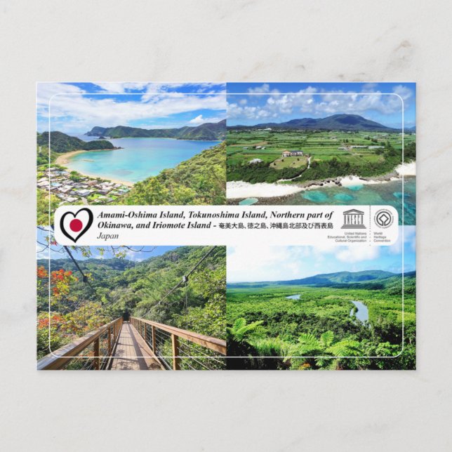 Cartão Postal Amami-Oshima, Tokunoshima, Okinawa, Iriomote (Frente)