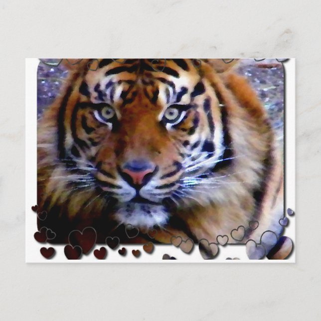 Cartão Postal Amando Você_ (Frente)