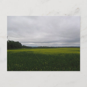 Cartão Postal amarelo