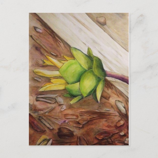 Cartão Postal "Amarelo 1" (Frente)