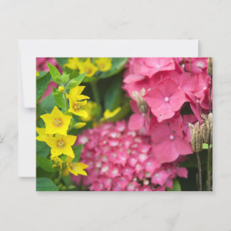 Cartão Postal Amarelo e Rosa