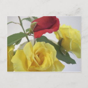 Cartão Postal Amarelo e Rosas vermelhas