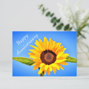 Cartão-postal Amarelo Girassol no Céu Azul