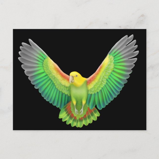 Cartão Postal Amazônia Amarela Dupla (Frente)