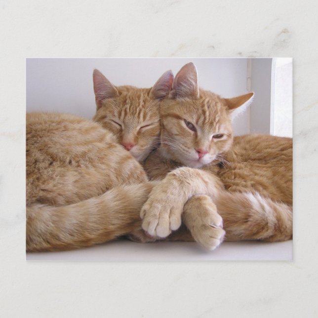 Cartão Postal Amber & Topez (Frente)