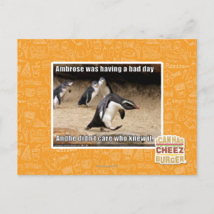 Cartão Postal Ambrose estava tendo um dia ruim
