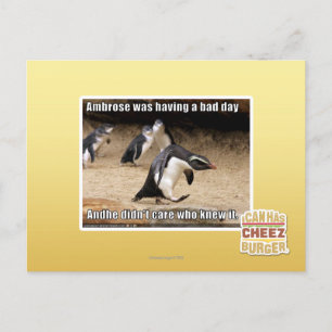 Cartão Postal Ambrose estava tendo um dia ruim