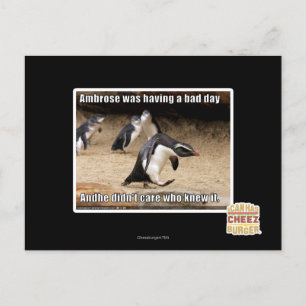 Cartão Postal Ambrose estava tendo um dia ruim