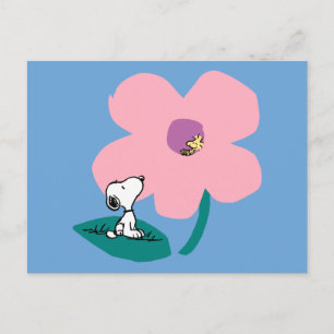 Cartão Postal Amendoins Ilustração da Flor Rosa-Rosa Natural