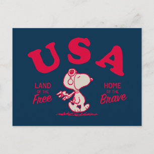 Cartão Postal Amendoins   Snoopy USA Land of the Free