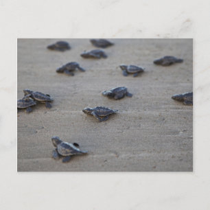 Cartão Postal América Central, El Salvador, Oceano Pacífico