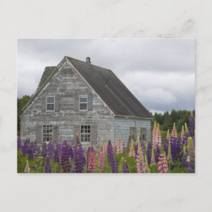 Cartão Postal América do Norte, Canadá, Ilha do Príncipe Eduardo