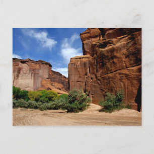 Cartão Postal América do Norte, EUA, Arizona, Navajo Indiano 5