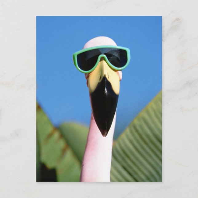 Cartão Postal América do Norte, EUA, Califórnia, San Diego. Mar (Frente)