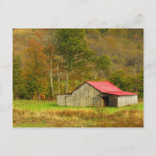 Cartão Postal América do Norte, EUA, Carolina do Norte, rural