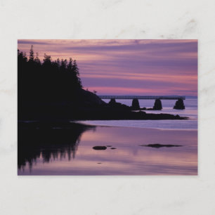 Cartão Postal América do Norte, EUA, EU, Isle Au Haut. Pato