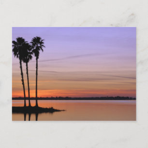 Cartão Postal América do Norte, EUA, Flórida, Monte Dora, um t