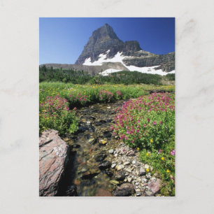 Cartão Postal América do Norte, EUA, Montana, Glacier National 