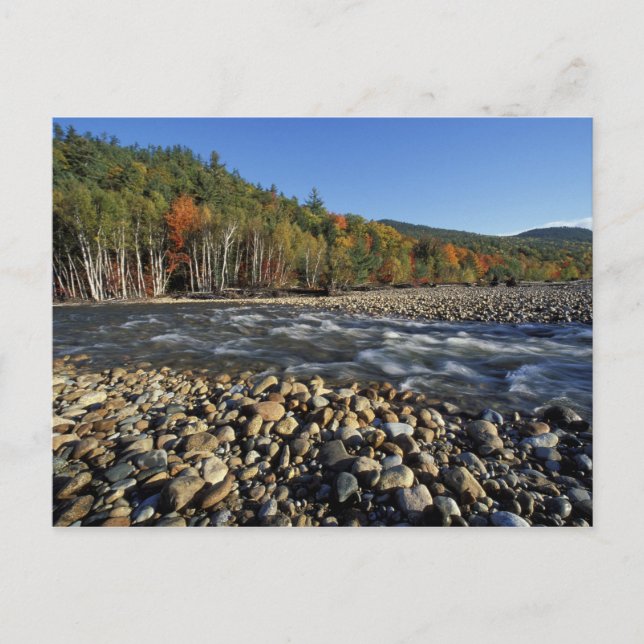 Cartão Postal América do Norte, EUA, NH, Uma praia de bolhas na (Frente)