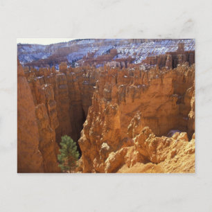 Cartão Postal América do Norte, EUA, Utah, Bryce Canyon 2