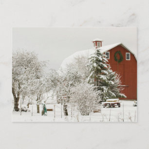 Cartão Postal América do Norte, EUA, WA, Ilha de Whidbey.